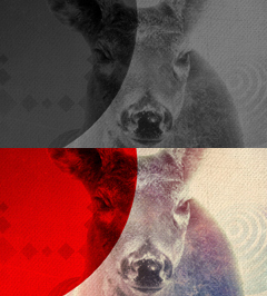 Deer Nature